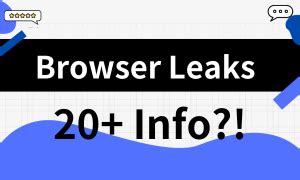 browser leaks|How Browser Leaks User Information